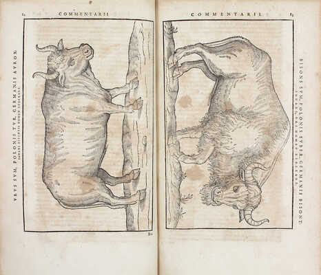 [Записки о Московии разных авторов. Впервые в одном томе собранные. Содержит историю страны и подробное описание регионов. Добавлен обширный указатель особо примечательных вещей и слов]. Francofvrti: Apud haeredes A. Wecheli, 1600.